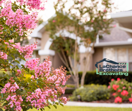 pretty pink flowers in the foreground with a home in the background