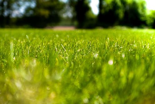 Septic Installation in Plymouth Michigan